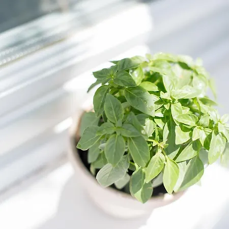 וילה Evmenia Luxury Cave *