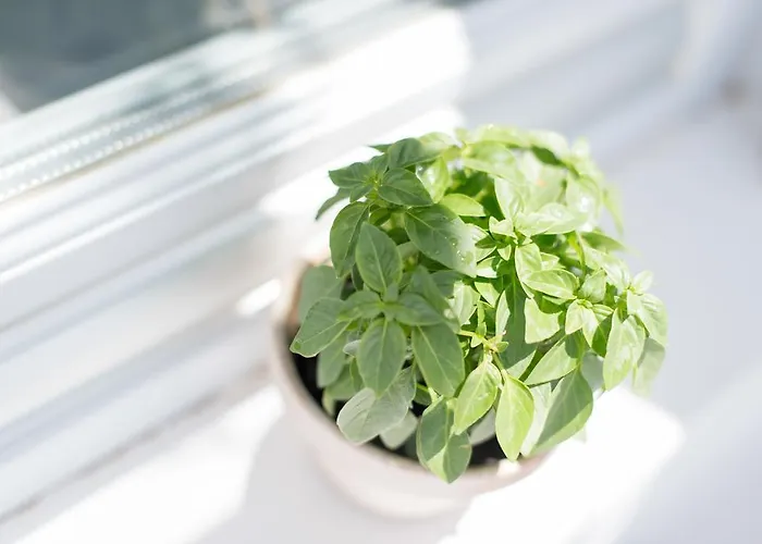 ヴィラ Evmenia Luxury Cave *